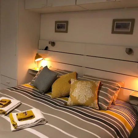 Elm Grove * シュル